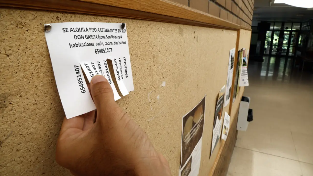 Una persona observa un anuncio de alquiler en el campus. SEBAS SENANDE