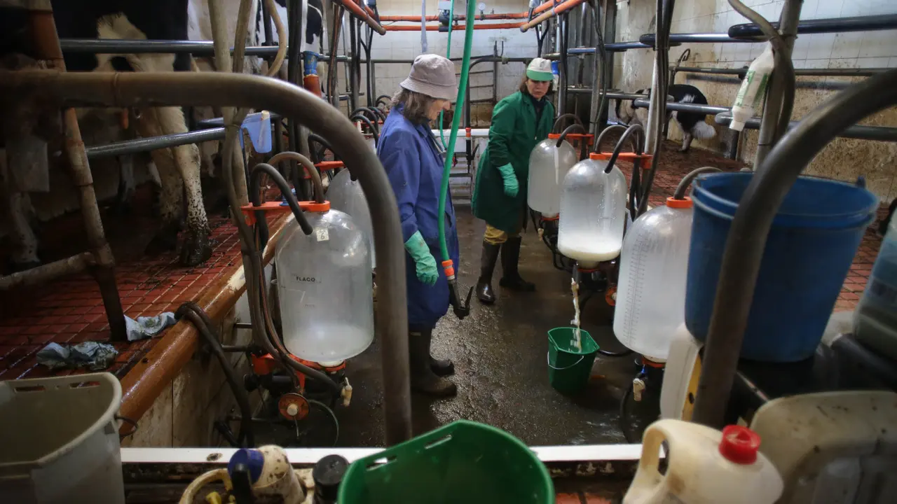 Trabajadoras en una granja de leche. EUROPA PRESS