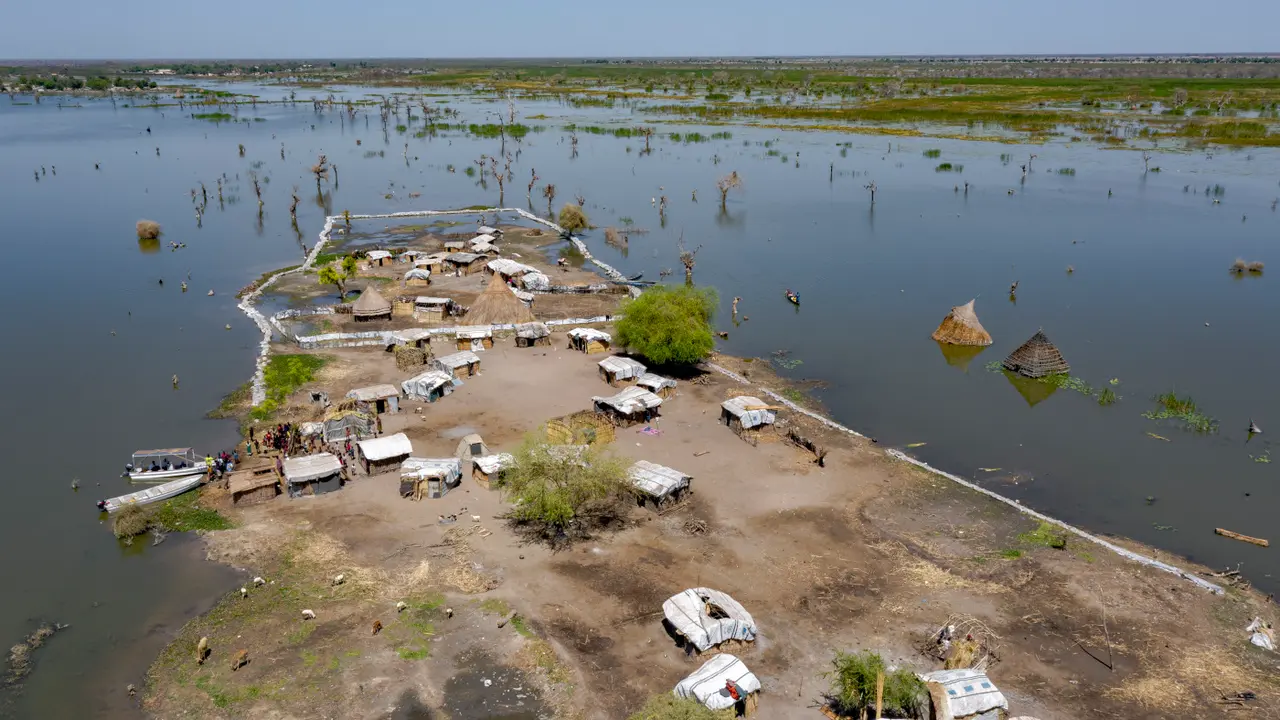 © ACNUR- Andrew McConnell