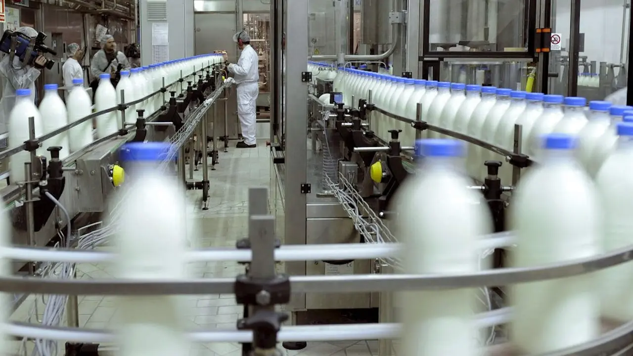 Línea de envasado de leche. EFE