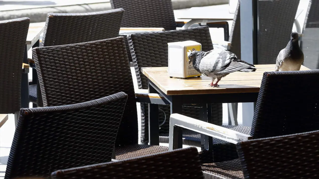 Una mesa de un local de hostelería. AEP