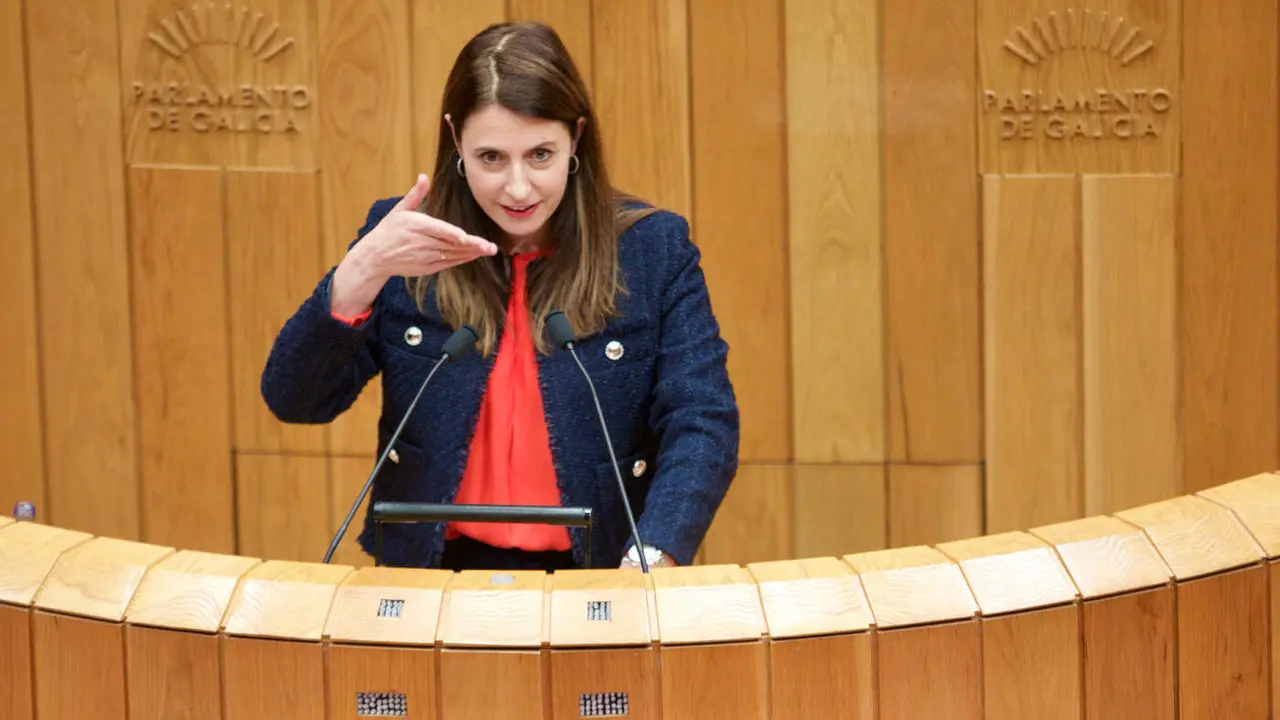 La conselleira de Medio Rural, en el Parlamento.EP