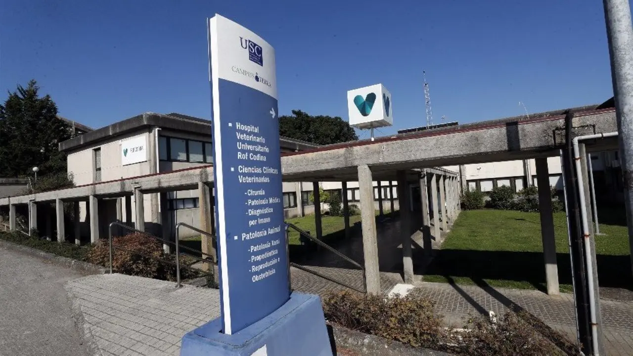 Instalaciones de la Fundación Rof Codina, en Lugo.EP