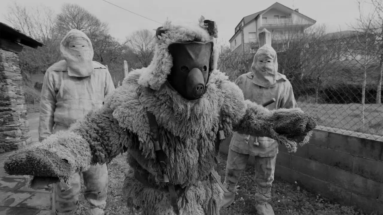 Oso de Salcedo. ARCHIVO