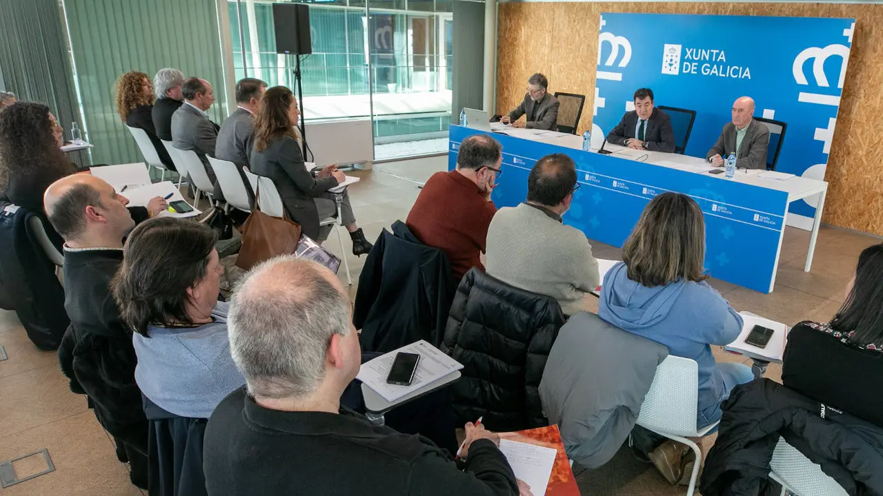 El conselleiro de Educación, Román Rodríguez, en su intervención ante el Consello Escolar de Galicia. EP