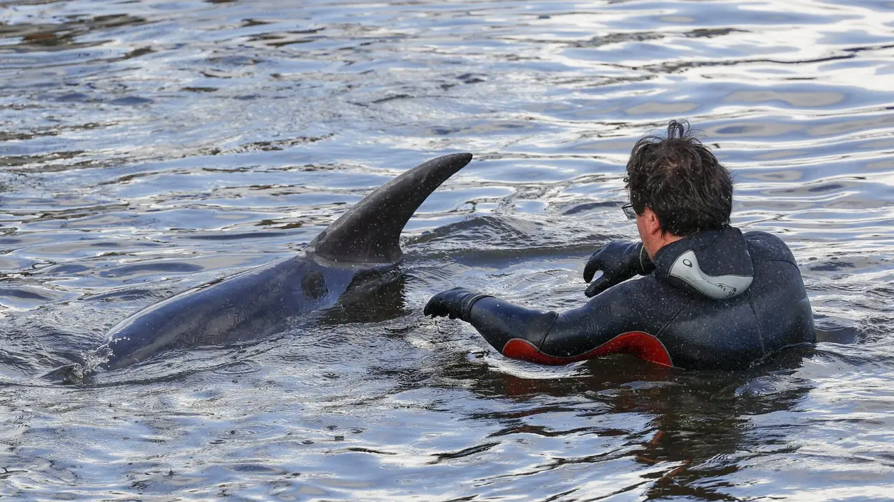 Manoliño con un buzo en 2022. EFE