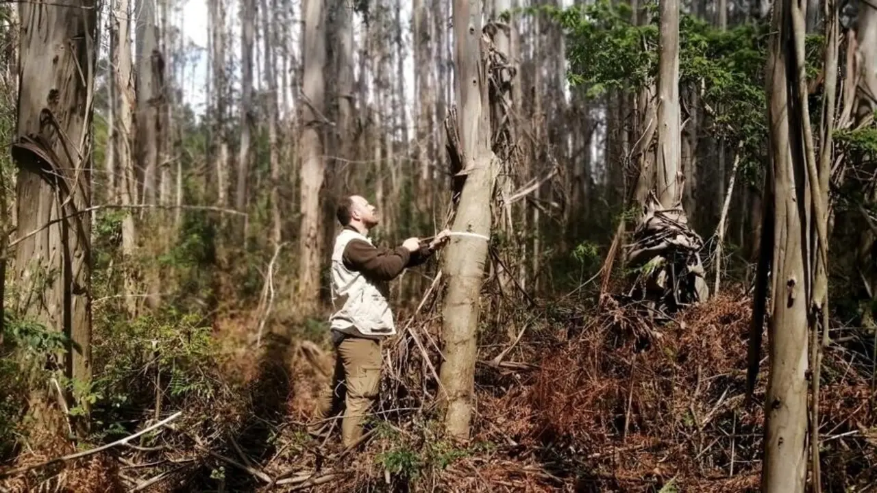 Un investigador realiza trabajo de campo. EP