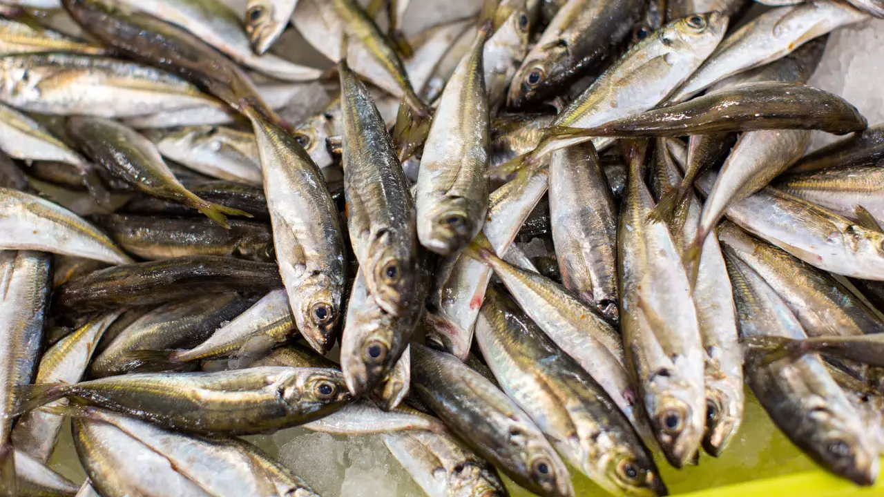 Sardinas en un supermercado. EP
