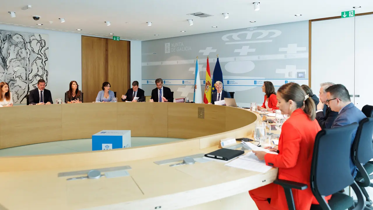 Reunión del Consello da Xunta. DAVID CABEZÓN
