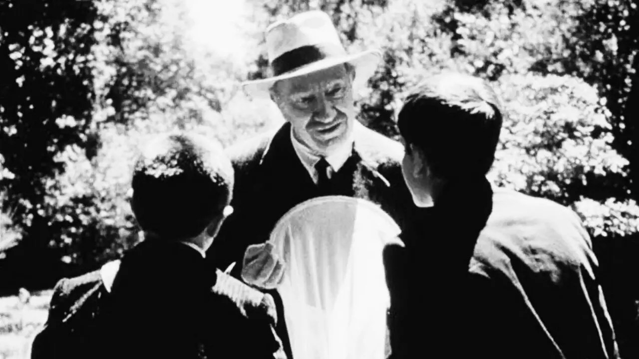 Fernando Fernán Gómez en 'A lingua das bolboretas'. AEP