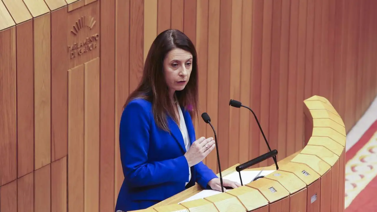 La conselleira de Medio Rural, María José Gómez. XOÁN REY