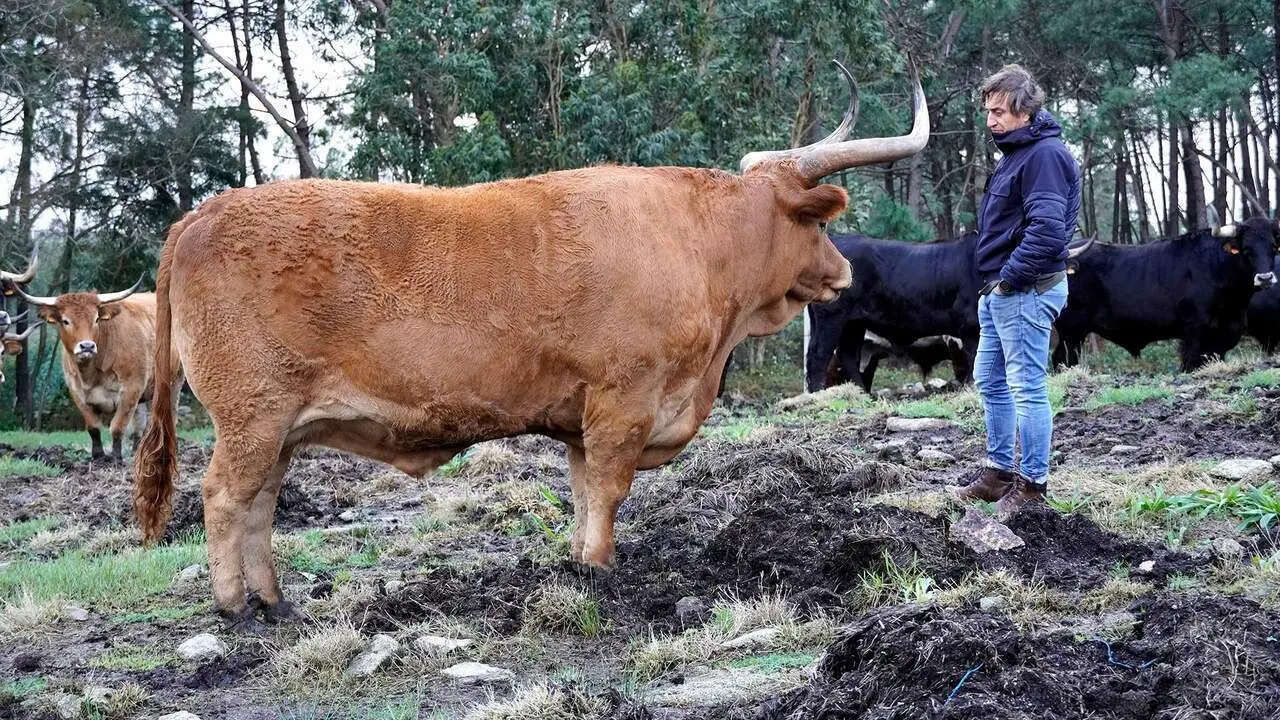 José Portas. CEDIDA