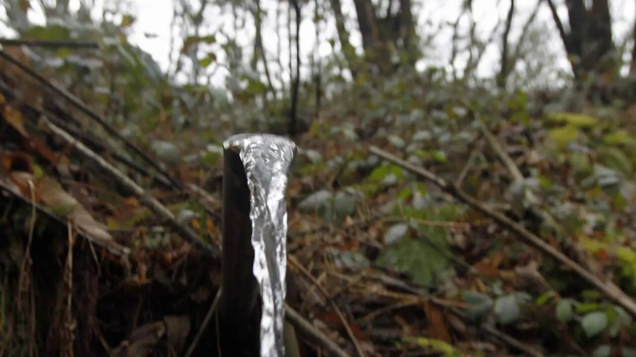 SANTA EULALIA DE CUÍÑA

Fuente Se la conoce como Fonte das Ribas y está al lado de la carretera. El agua sale por un caño de una tubería, tras bajar por la ladera de una roca. Muchos lucenses acuden hasta ahí para llenar botellas y garrafas.