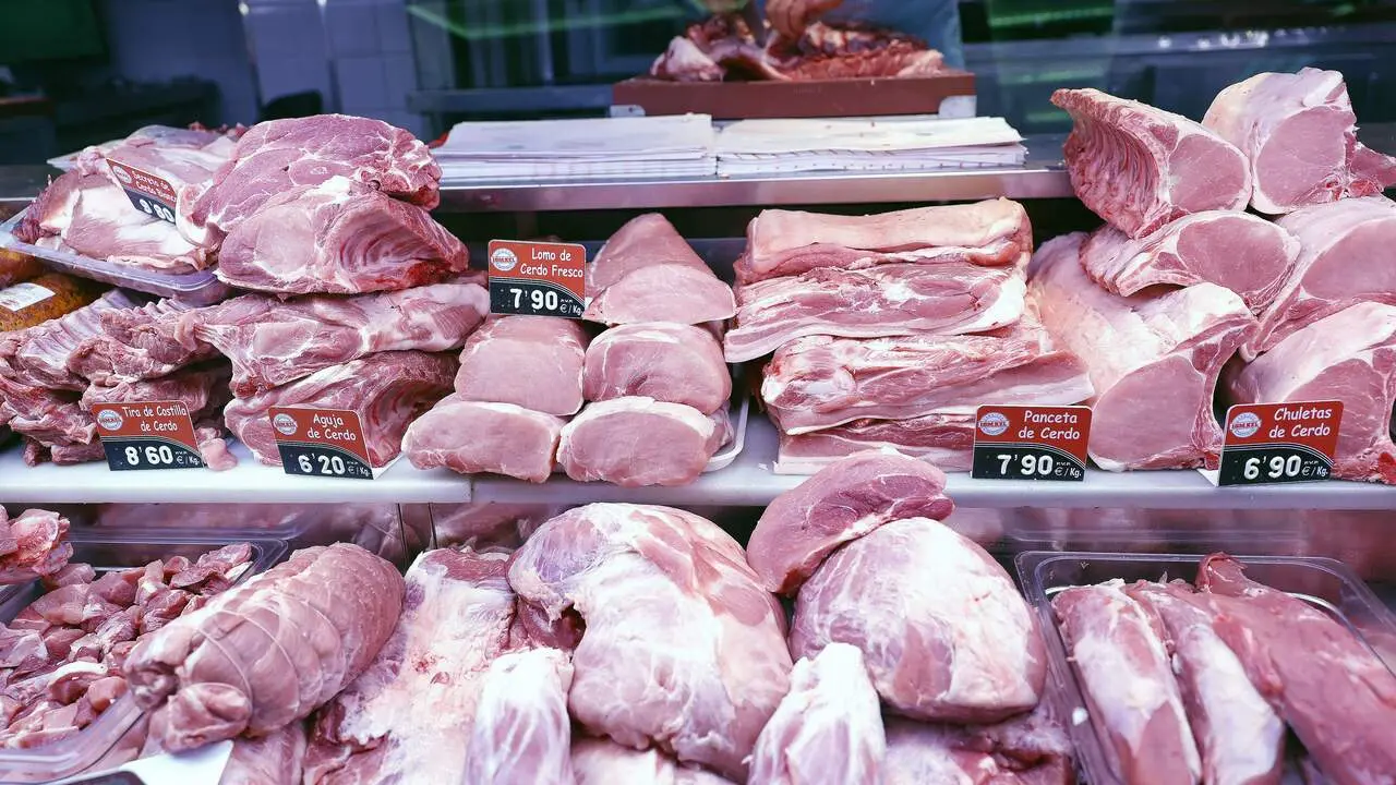 ESPAÑA PESTE PORCINA