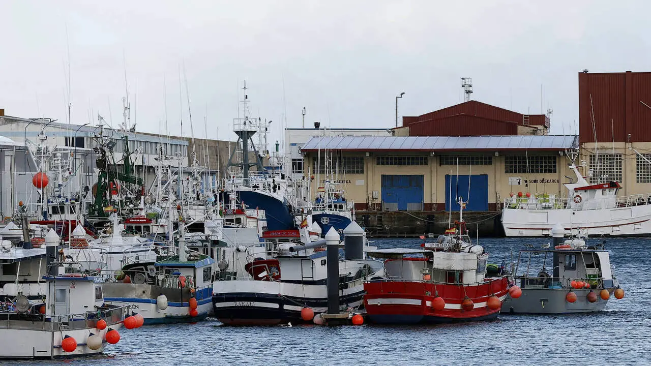 Flota de bajura amarrada en el puertod e Burela. JM &Aacute;LVEZ