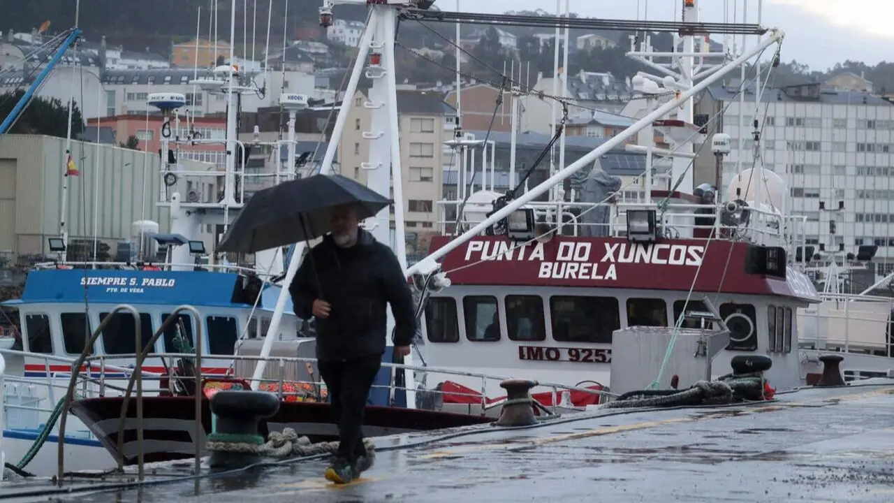 Flota amarrada en Burela. Carlos Castro (EUROPA PRESS)