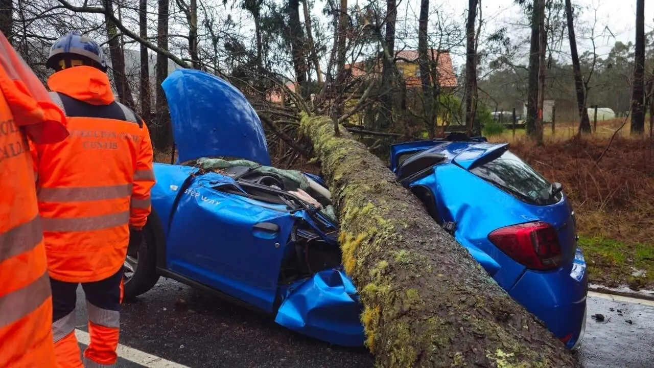 Estado en el que qued&oacute; el turismo sobre el que cay&oacute; un pino en Caldas. DP