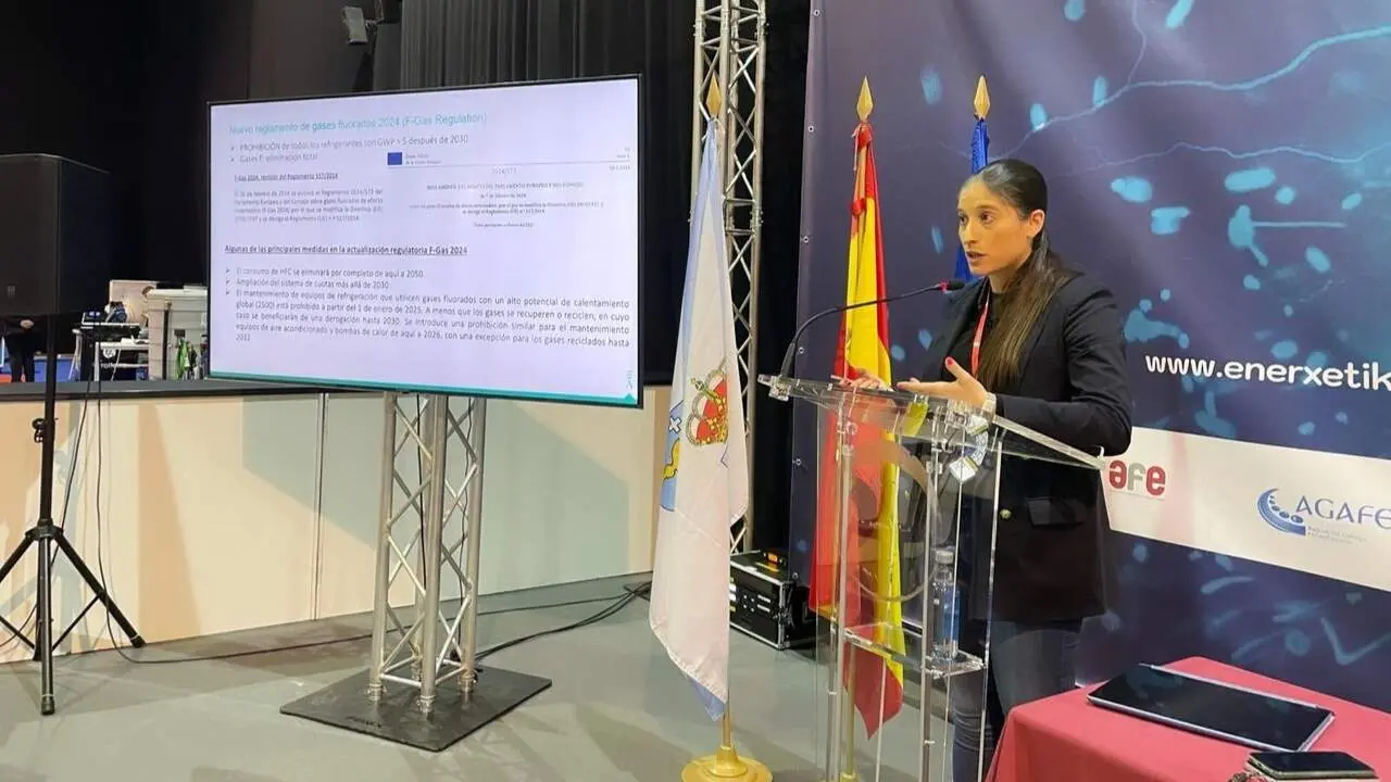 Silvia Fern&aacute;ndez, de Cluergal, en la feria Enerx&eacute;tika. EP