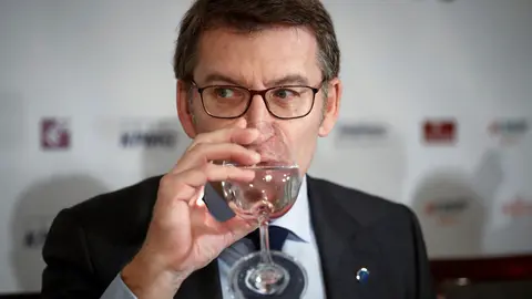 Alberto N&uacute;&ntilde;ez Feij&oacute;o. EFE