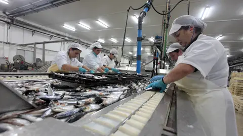 Trabajadores en una conservera. ADP