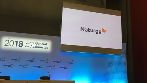 Junta de Naturgy. DP