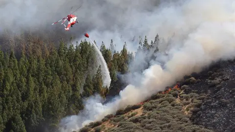 Incendio en Gran Canaria. EFE