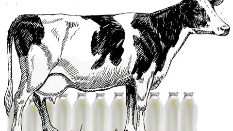 Ilustración para el blog de Rodrigo Cota. MARUXA