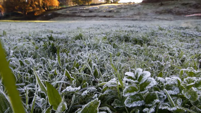 Las bajas temperaturas dejan fuertes heladas en la provincia. AMA