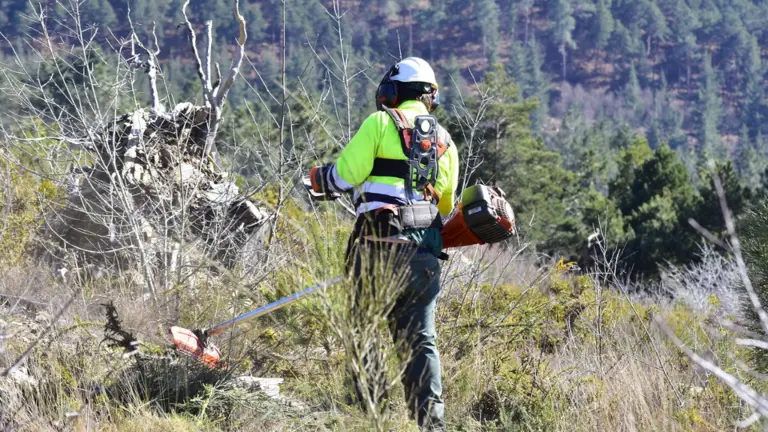 Un traballador deTragsa limpando un monte. EP