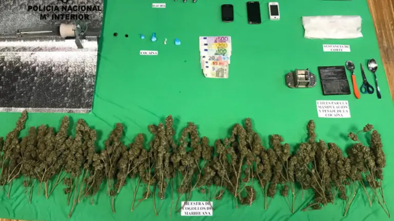 Muestra de la droga y objetos incautados en la operación Wakame. DP