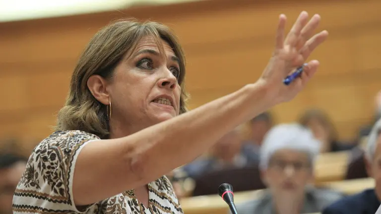 La ministra Delgado, en el Senado. ZIPI