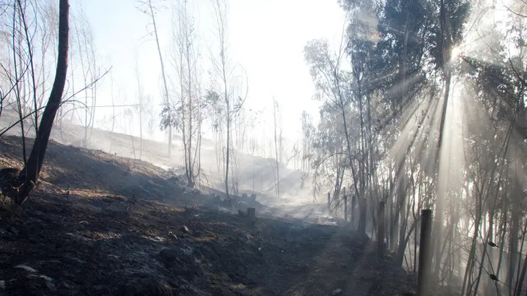 Mondariz, horas después del voraz incendio que devoró 150 hectáreas. SALVADOR SAS