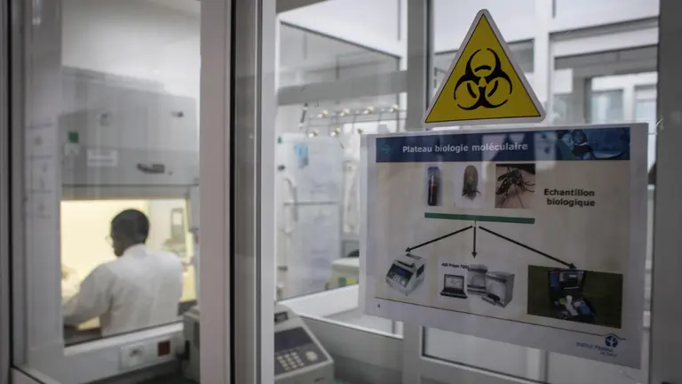 Un investigador analiza posibles casos de coronavirus. EFE