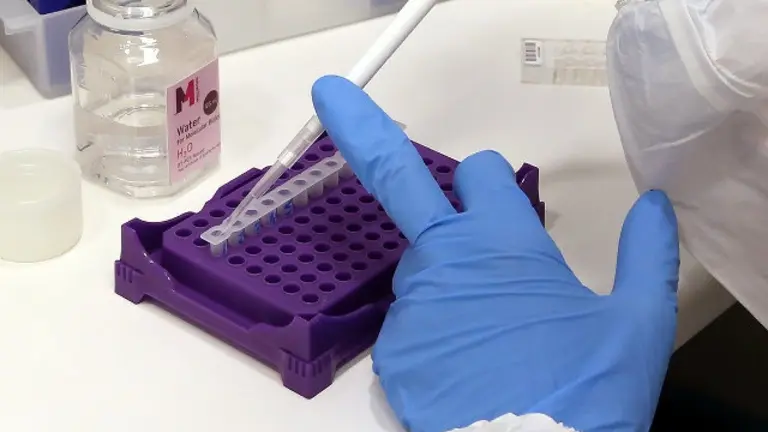 Pruebas en un laboratorio.EP