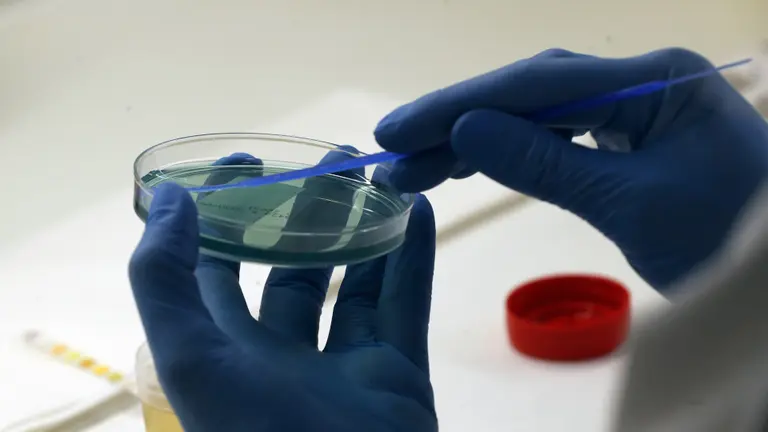 Pruebas en un laboratorio. XESÚS PONTE