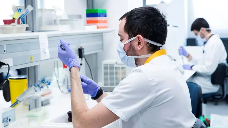 Trabajos de investigaci&oacute;n sobre el coronavirus. EFE