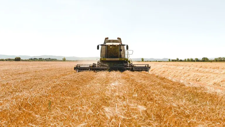 Cosecha de cebada. EP