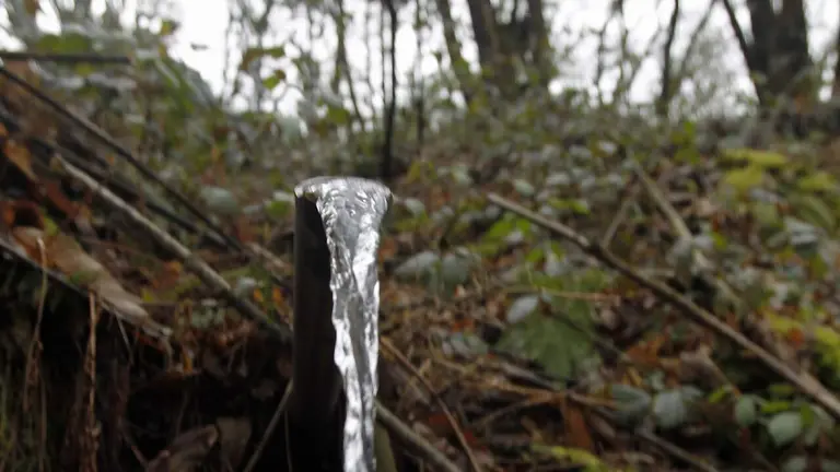 SANTA EULALIA DE CUÍÑA

Fuente Se la conoce como Fonte das Ribas y está al lado de la carretera. El agua sale por un caño de una tubería, tras bajar por la ladera de una roca. Muchos lucenses acuden hasta ahí para llenar botellas y garrafas.