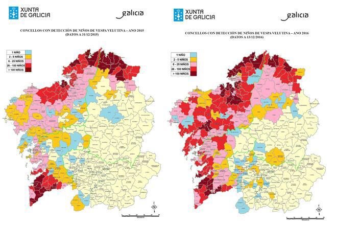 Concellos con detección de nidos de avispa velutina