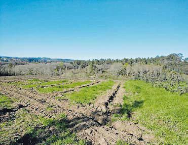 Imagen para el blog de Julián Rodríguez (02/12/17)