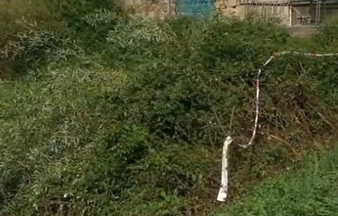 El zarzal, precintado. TVG