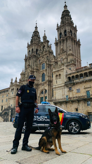 Cans policía ante a catedral. DP
