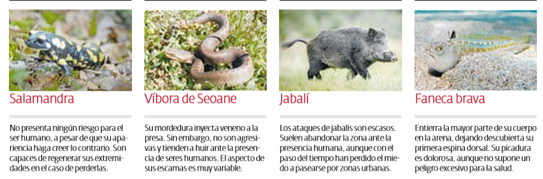Animales_2