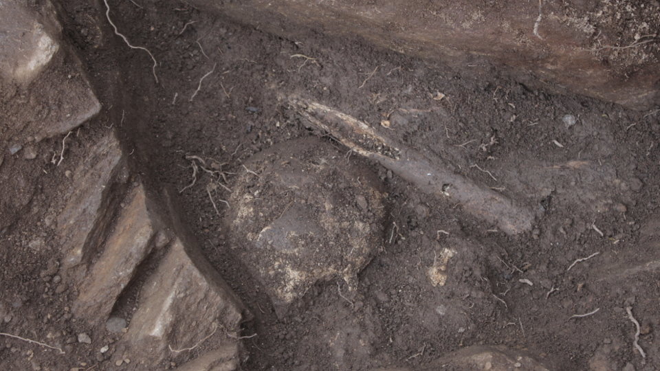 Restos encontrados en la excavación. ADEGAS DA MEMORIA - A Pobra do Brollón - Ribeira Sacra