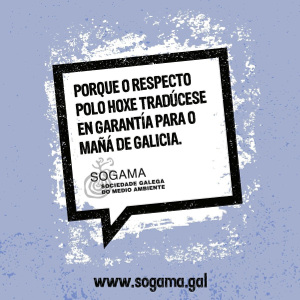 sogama4