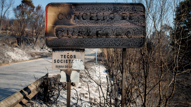 Danos provocados polo lume en Cualedro. BRAIS LORENZO (Efe)