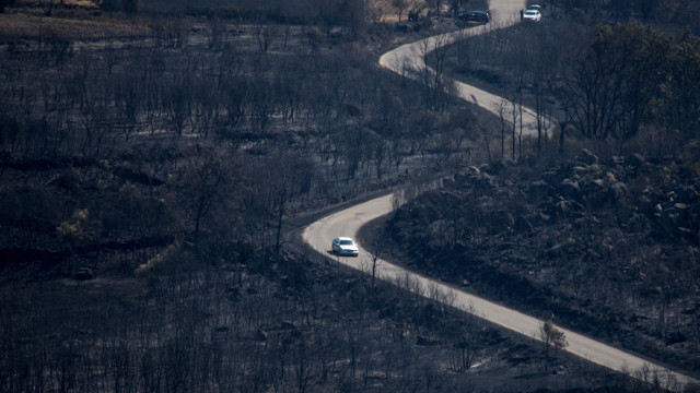 Superficie calcinada en Cualedro. BRAIS LORENZO (Efe)