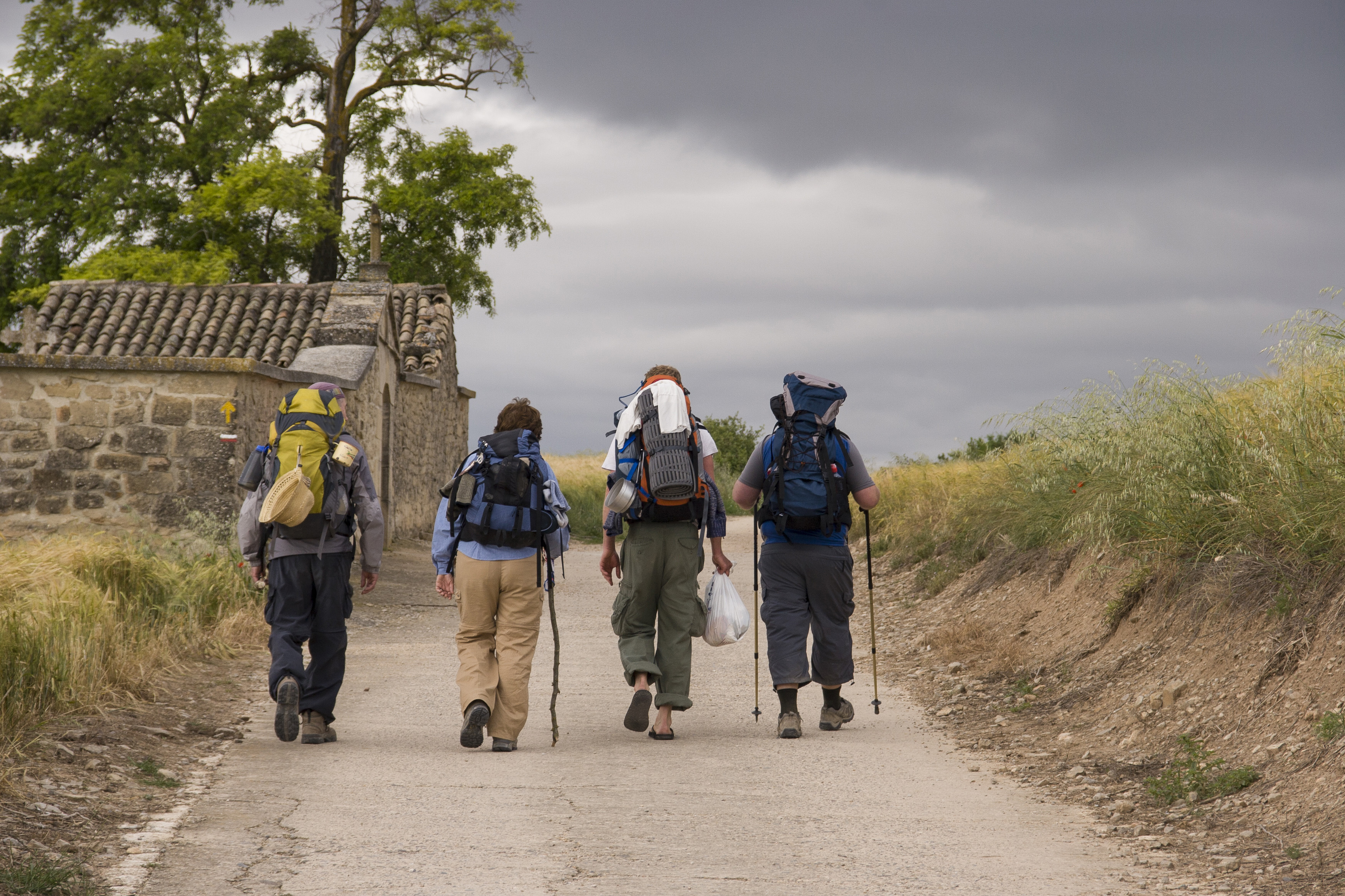 Peregrinos facendo o Camiño