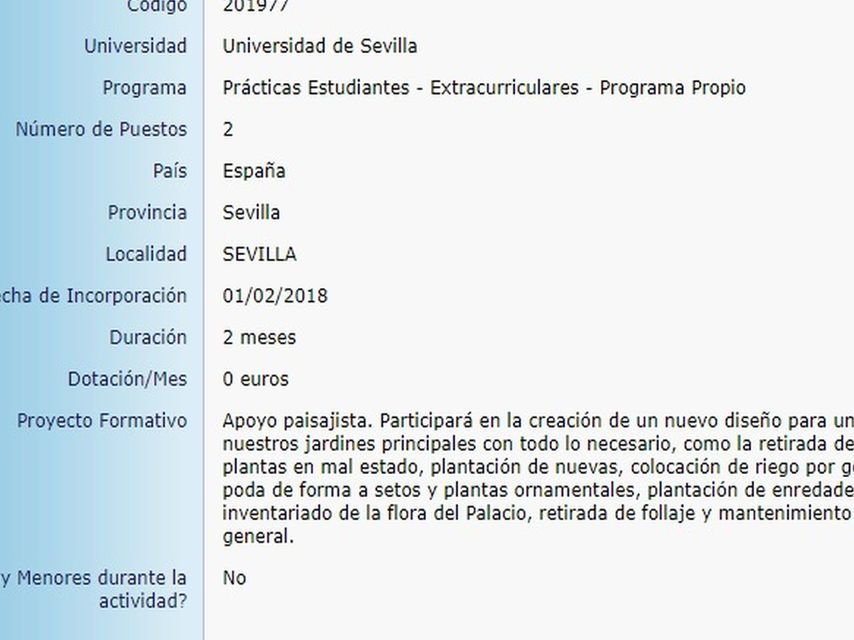 trabajo no remuneradojpg