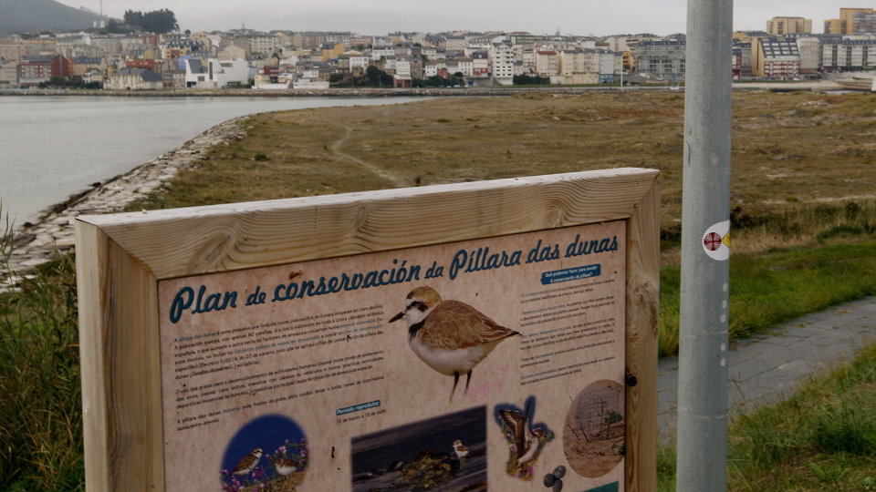 Cartel referente al plan de conservación de la píllara das dunas en la playa de Altar, en Barreiros. J.Mª. ÁLVEZ